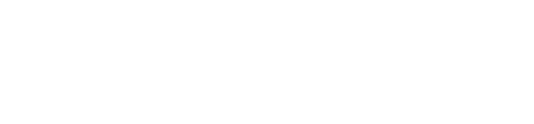 logo ceresit